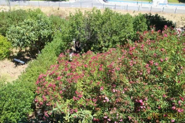 Boa Vivenda Villa Carcavelos  Dış mekan fotoğraf